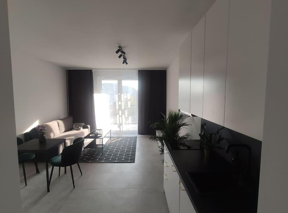 New 69 Apartment Szybowcowa Centre Katowice Free Parking Kültér fotó