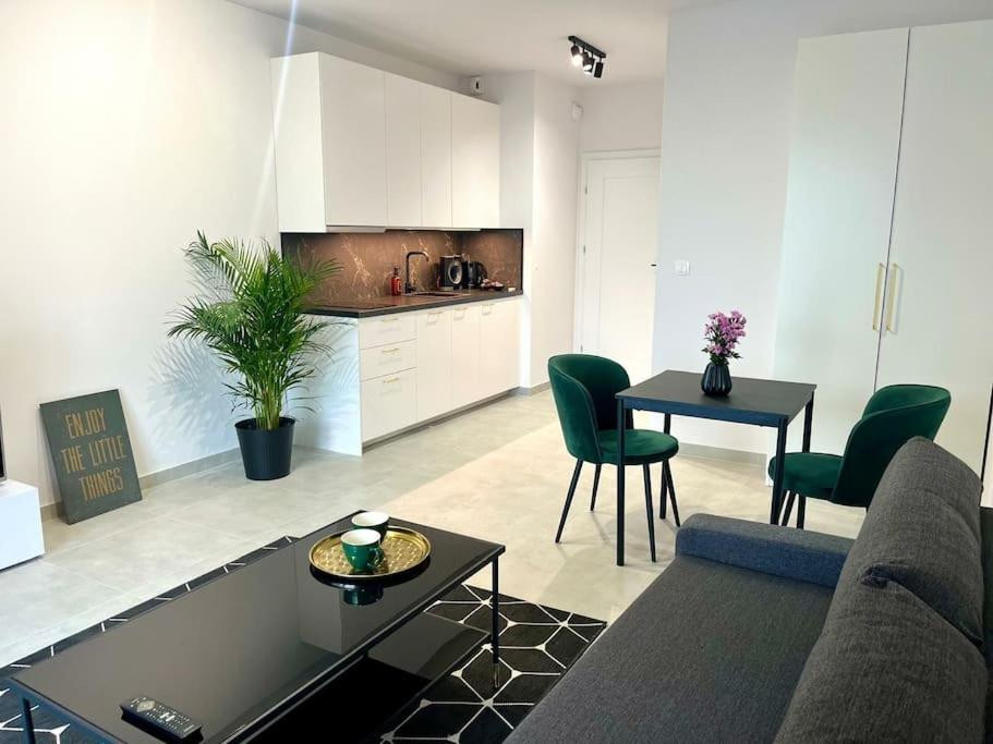 New 69 Apartment Szybowcowa Centre Katowice Free Parking Kültér fotó