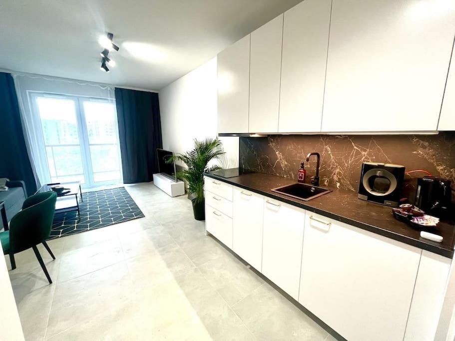 New 69 Apartment Szybowcowa Centre Katowice Free Parking Kültér fotó